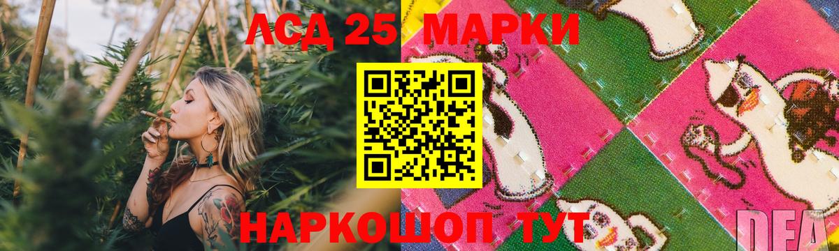 Новозыбков    ссылки  Вход с VPN  LSD-25 экстази  Лсд 25 экстази ecstasy  LSD-25 экстази кислота 