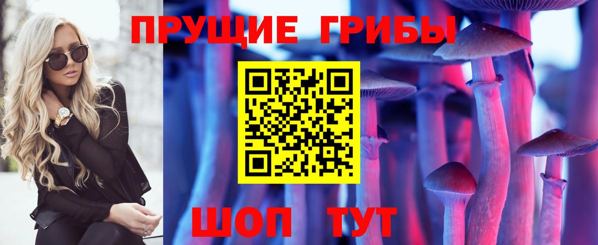 Новозыбков  Галлюциногенные грибы прущие грибы  Вход с VPN 